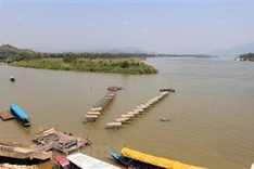 Half of Mekong Delta to be lost under sea level: research