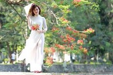 Photo contest launched to honour Vietnamese women
