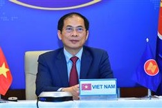 Vietnam calls on G7 to support safe vaccine access, distribution