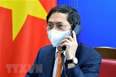 Vietnamese, German foreign ministers hold phone talks