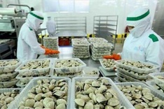 EU represents largest export market for Vietnamese clams