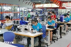 Vietnam enjoys stable economic rebound so far