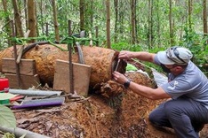Two American War bombs unearthed in Quang Binh