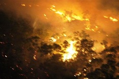 Fire engulfs Binh Dinh forest