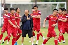 Vietnam team to play again in January next year