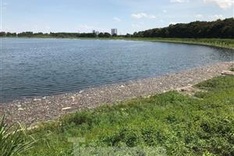 Hanoi lake experiences mass fish deaths