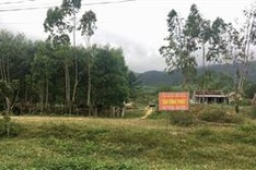 Poor Quang Binh teenager needs help to continue studies