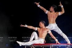 Vietnamese circus acts shine in international arena