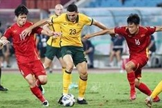 Vietnam's football body calls on FIFA, AFC to step up assessment of referee quality