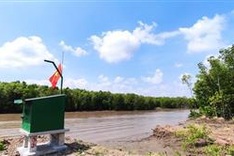 Australia facilitates environmental monitoring using tech in mangrove forest