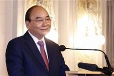 President Phuc meets overseas Vietnamese community representatives