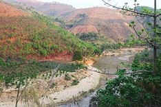 Vietnam has over 1.2 million hectares of unused land: Ministry