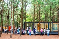 Exhibition “Art in the Forest" opens