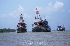 IUU fight: Four provinces complete installation of VMS on eligible fishing boats