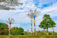 From art in the forest project to first contemporary art museum in Vietnam