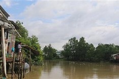 Can Tho residents need support to have bridge