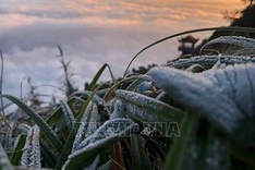 Cold spells predicted for late January