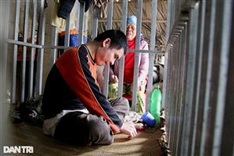 Elderly couple call for help to support mentally-ill son