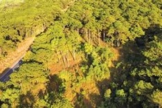MARD reports plan to use nearly 6 million tonnes of CO2