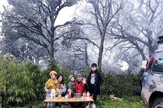 Hanoians go camping to relax amid pandemic