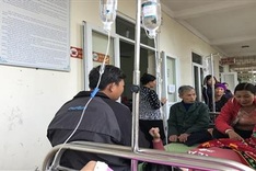 Vinh Phuc company investigated over poisoning case