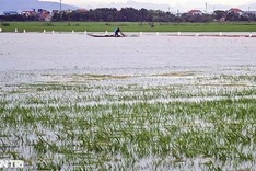 Unseasonal rains hit central Vietnam
