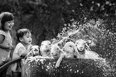 Balkan Exhibition honours Vietnamese photographers