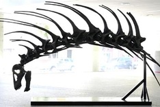 Dinosaur that defended itself with spiny backbone found in Patagonia