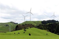 Electric cars, fewer cows in New Zealand's climate change plan