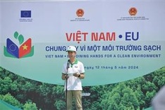 Vietnam, EU join hands for clean environment