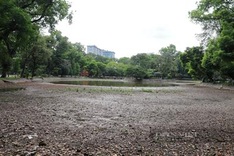 Lake at Hanoi Botanical Gardens dries up