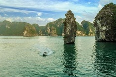 Cat Ba tourist site temporarily closed due to Covid-19