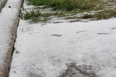 Hail damages large vegetable area in Lai Chau