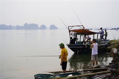 People flock to fish following typhoon