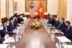 Vietnam, Malaysia FMs hold talks in Hanoi