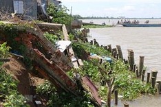 Over 6,000 households in Dong Thap need relocation due to landslides