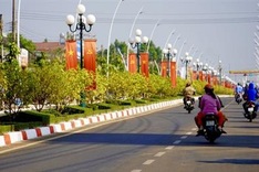 Record-breaking Vietnamese apricot blossom road recognised
