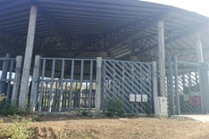 Wild elephants attack Dak Lak conservation centre