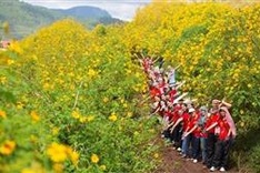 Hanoi welcomes over 715,000 visitors in November