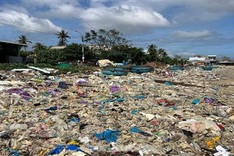 Quang Ngai beach severely polluted