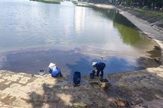 Investigation into Hanoi lake oil spill