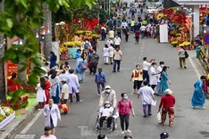 Tet flower road launched at HCM City hospital