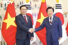 Vietnam, Rok to establish comprehensive strategic partnership in 2022
