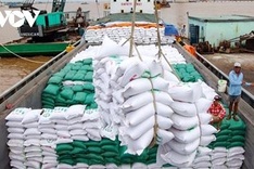 Vietnam exports over 5 million tonnes of rice in seven months