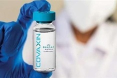 Vietnam approves Indian Covid-19 vaccine emergency use