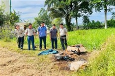 Seven frozen tiger cubs destroyed in Ha Tinh