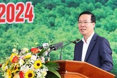 State President launches tree planting festival 2024