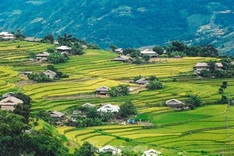 Beauty of Ha Giang terraced fields
