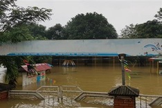Quang Tri education sector suffers billions of losses after floods