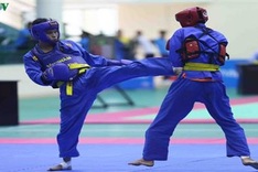 Vovinam Vietnam marks return with national tournament